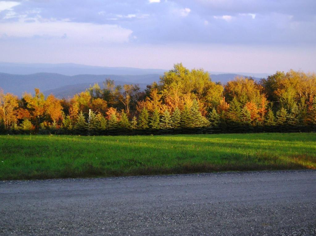 Cooper Hill Inn East Dover المظهر الخارجي الصورة