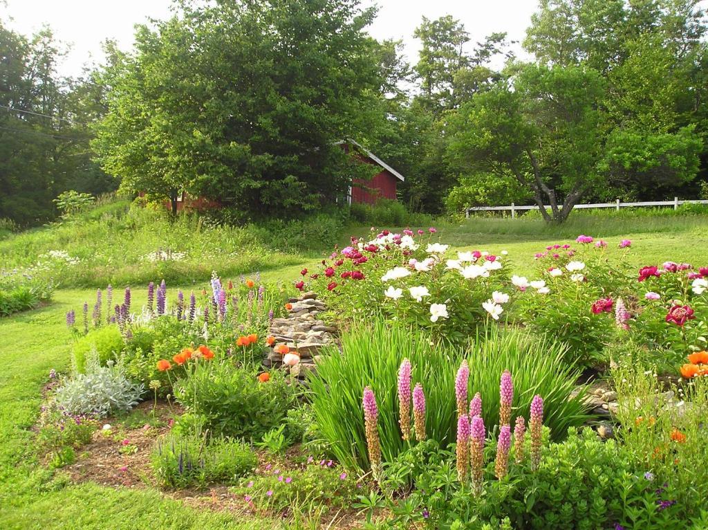 Cooper Hill Inn East Dover المظهر الخارجي الصورة